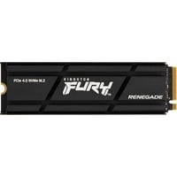 Kingston FURY Renegade Heatsink 1 TB Nero