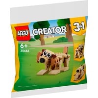 LEGO 30666, Giochi di costruzione 