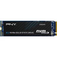 PNY M280CS2241-500-RB