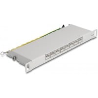 DeLOCK 66871 pezzo di pannello 0.5U, Patch Panel grigio, Grigio, Metallo, 0.5U, 254 mm, 100 mm, 22 mm