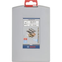 Bosch HSS-G Punta per trapano elicoidale 19 pz, Drill bit set Trapano, Punta per trapano elicoidale, Ghisa, Acciaio, 135°, 19 pz, Punta per trapano elicoidale