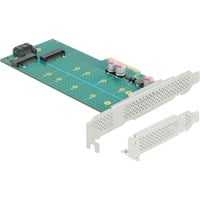 DeLOCK 89047 scheda di interfaccia e adattatore Interno M.2, SATA PCIe, M.2, SATA, A basso profilo, PCIe 4.0, 5 - 50 °C, -25 - 70 °C