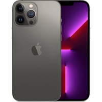 Apple iPhone 13 Pro Max 256GB Ricondizionato, Handy grigio