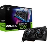 MSI V537-005R, Scheda grafica