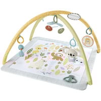 Mattel HRB15 palestra per bambino e tappeto di gioco Plastica Multicolore Palestrina a tappeto per bambino, Gioco di scheda/coperta Palestrina a tappeto per bambino, Arco giocattolo, Plastica, Multicolore