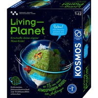 KOSMOS 637255, Casella di esperimento