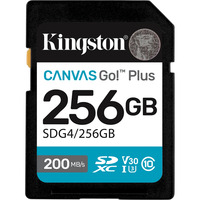 Kingston SDG4/256GB Nero