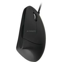 VM1, Mouse VM1, Mouse