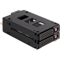 DeLOCK Cornice sostituibile Slim Bay per 2 x 2,5″ U.2 NVMe SSD, Disk enclosure 