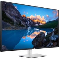 Dell UltraSharp U4323QE Monitor PC 109,2 cm (43") 3840 x 2160 Pixel 4K Ultra HD LCD Argento, Monitor LED Nero/Argento, 109,2 cm (43"), 3840 x 2160 Pixel, 4K Ultra HD, LCD, 8 ms, Argento