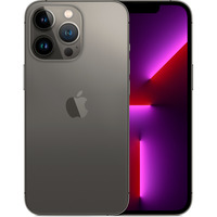 Apple iPhone 13 Pro 256GB Ricondizionato, Handy grigio