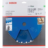 Bosch Lama per sega circolare EXPERT Wood, Ø 254mm, 22 denti 