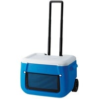 Coleman 2000036081, Scatola cool blu/Bianco