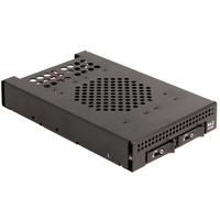 DeLOCK Telaio rimovibile da 3,5″ per 2 x M.2 NVMe SSD, Inquadramento 