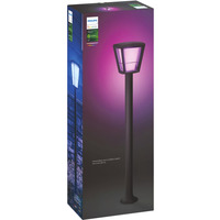Philips Hue White & Color Ambiance Econic Lampada da esterno per sentieri, Luce LED Nero