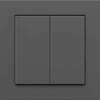Senic Friends of Hue Smart Switch, Pulsante antracite