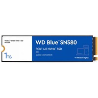 WD WDS100T3B0E blu/Bianco