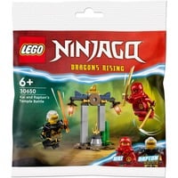 LEGO 30650, Giochi di costruzione