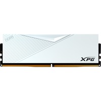 ADATA DIMM 32 GB DDR5-6000, Memoria bianco