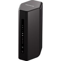 Netgear RS300-100EUS, Router