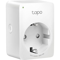 Image of Tapo P100 presa intelligente 2300 W Bianco