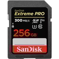 SanDisk SDSDXDK-256G-GN4IN, Scheda di memoria Nero