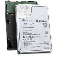 Seagate Exos X22 22 TB Ricondizionato, Hard-disk 