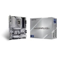 Biostar Z890A-Silver, Scheda madre