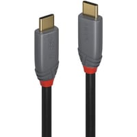 Lindy Cavo USB 3.2 tipo C, 5A PD, Anthra Line grigio