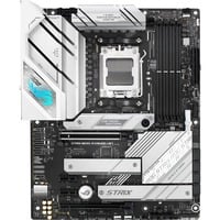 ASUS 90MB1BP0-M0EAY0, Scheda madre argento