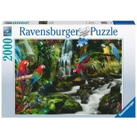 Ravensburger 17111 puzzle 2000 pz Animali 2000 pz, Animali