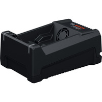Bosch GAL 12V/18V-80 Professional, 1600A037CH, Caricabatterie Nero
