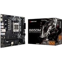 Biostar B650MT, Scheda madre