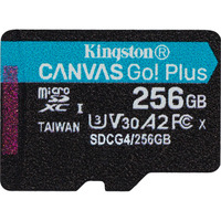 Kingston SDCG4/256GBSP Nero