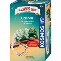 KOSMOS 658281, Casella di esperimento 