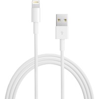 Apple Cavo da Lightning a USB (2 m) bianco, 2 m, Lightning, USB A, Bianco, USB 2.0, iPhone 5/5c/5s, iPad 4 gen, iPad mini, iPod nan 7 gen, iPod touch 5 gen