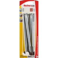 fischer F 10 M 152, Tassello argento
