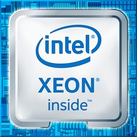 Intel® Xeon 4210R processore 2,4 GHz 13,75 MB Scatola Intel® Xeon® Silver, FCLGA3647, 14 nm, Intel, 4210R, 2,4 GHz, boxed