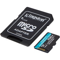 Kingston Canvas Go! Plus 256 GB SD UHS-I Classe 10 Nero, 256 GB, SD, Classe 10, UHS-I, 170 MB/s, 90 MB/s