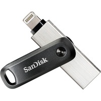 Image of SDIX60N-256G-GN6NE unità flash USB 256 GB 3.2 Gen 1 (3.1 Gen 1) Grigio, Argento