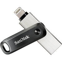 SanDisk SDIX60N-256G-GN6NE unità flash USB 256 GB 3.2 Gen 1 (3.1 Gen 1) Grigio, Argento, Chiavetta USB Nero/Argento, 256 GB, 3.2 Gen 1 (3.1 Gen 1), Sleeve, 7,2 g, Grigio, Argento