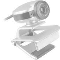 Logitech BRIO 105 grafite