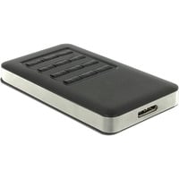 DeLOCK 42594 contenitore di unità di archiviazione Box esterno SSD Nero, Argento M.2, Disk enclosure grigio/Nero, Box esterno SSD, M.2, SATA, 5 Gbit/s, Collegamento del dispositivo USB, Nero, Argento