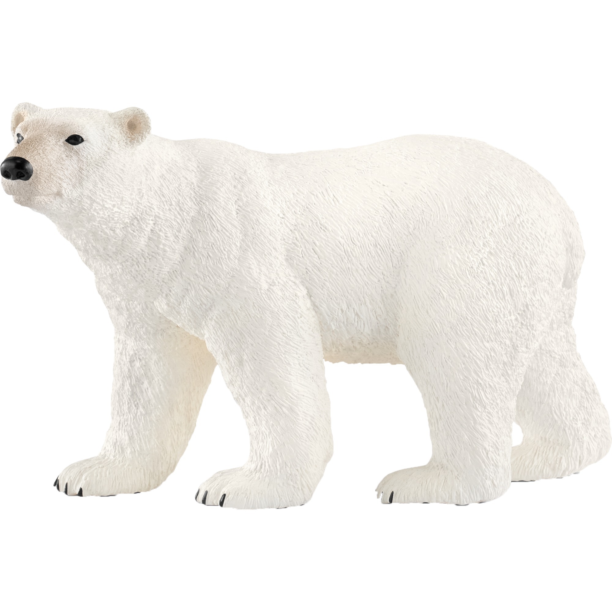 14800 Orso Polare Schleich 14800 Orso Polare Schleich