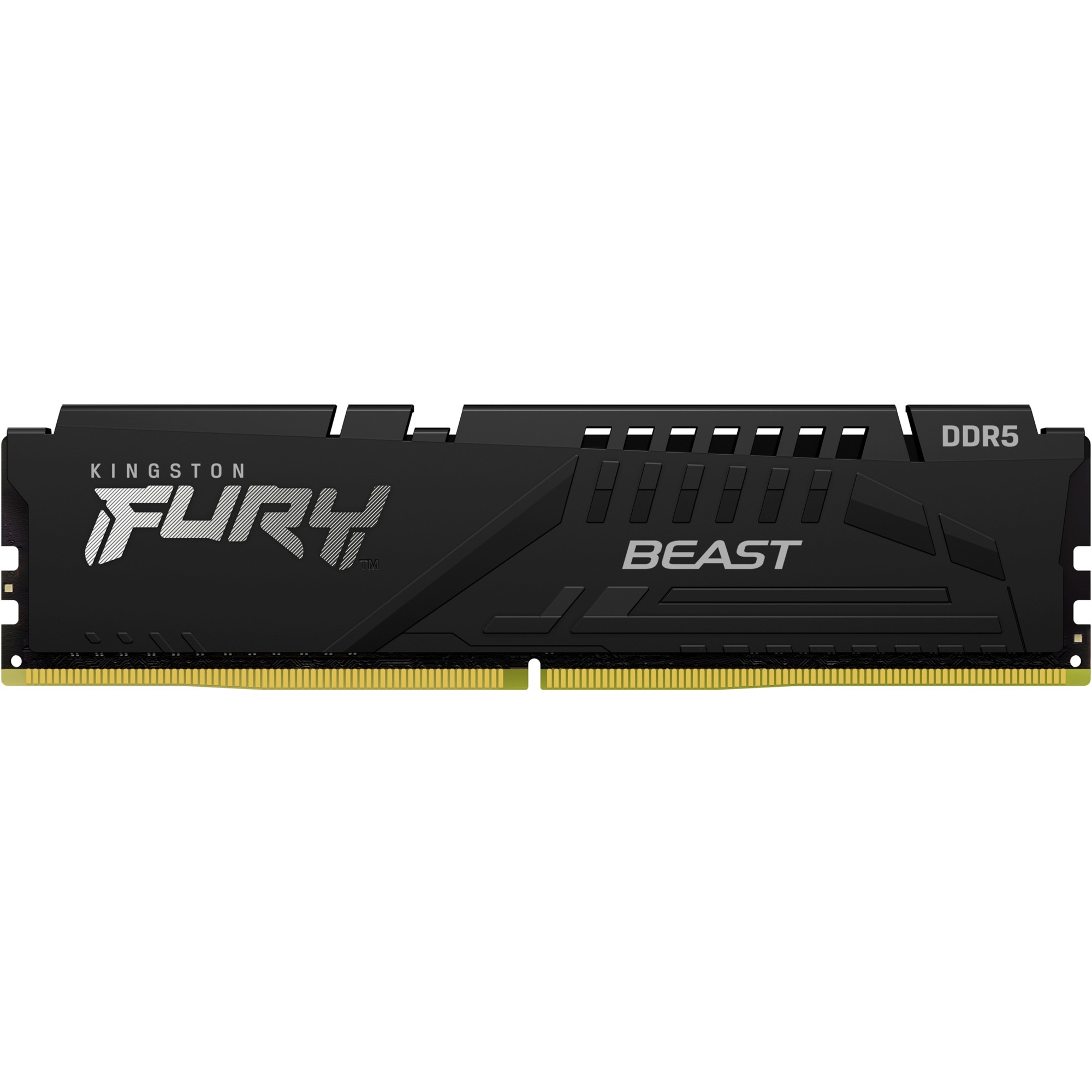 FURY Beast memoria 16 GB 1 x 16 GB DDR5 4800 MHz