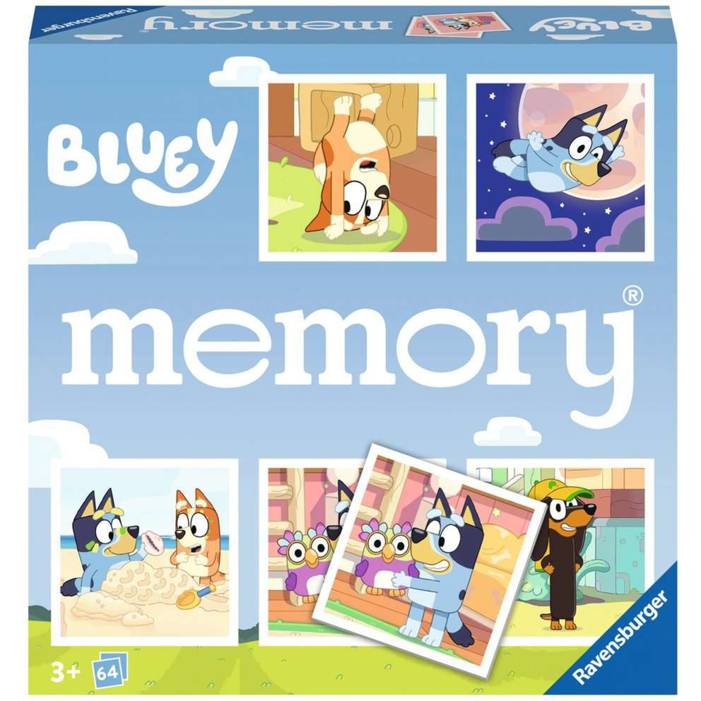 Memory - Bluey, Memoria