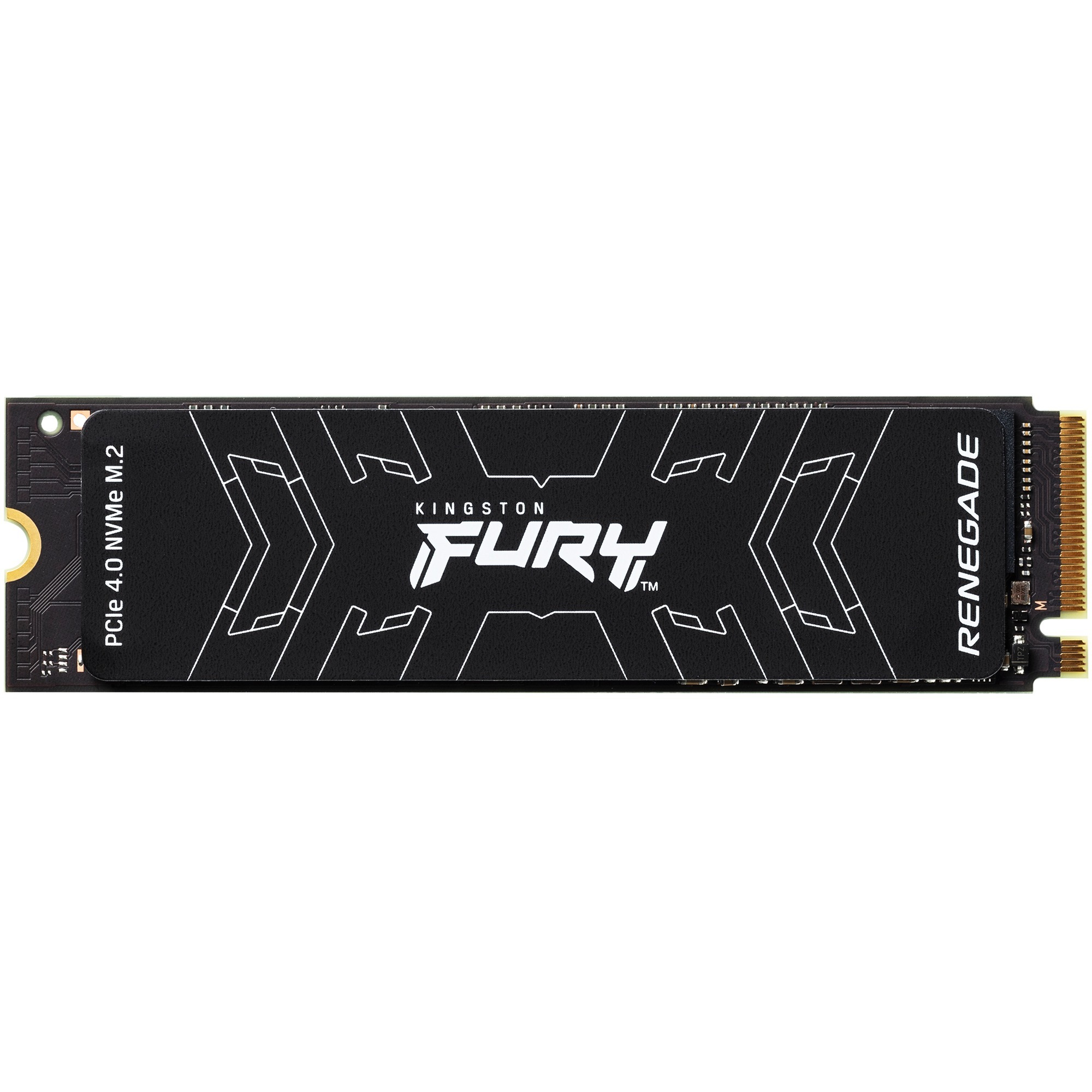 FURY Renegade M.2 1000 GB PCI Express 4.0 3D TLC