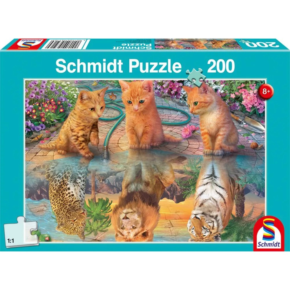 56516
