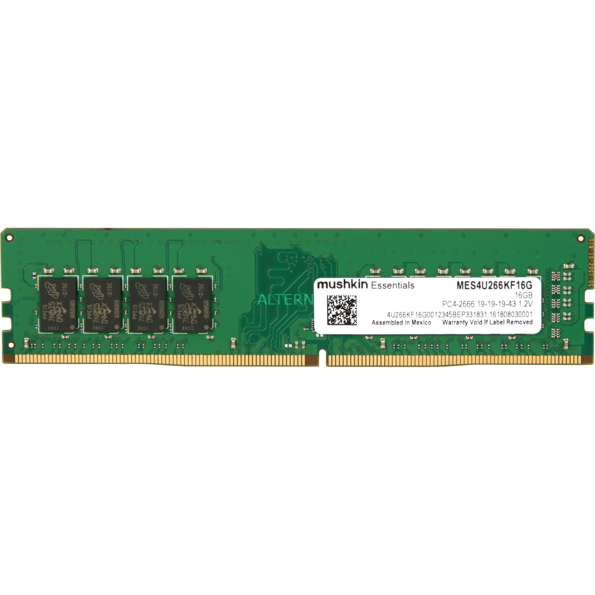 Essentials memoria 16 GB 1 x 16 GB DDR4 2666 MHz