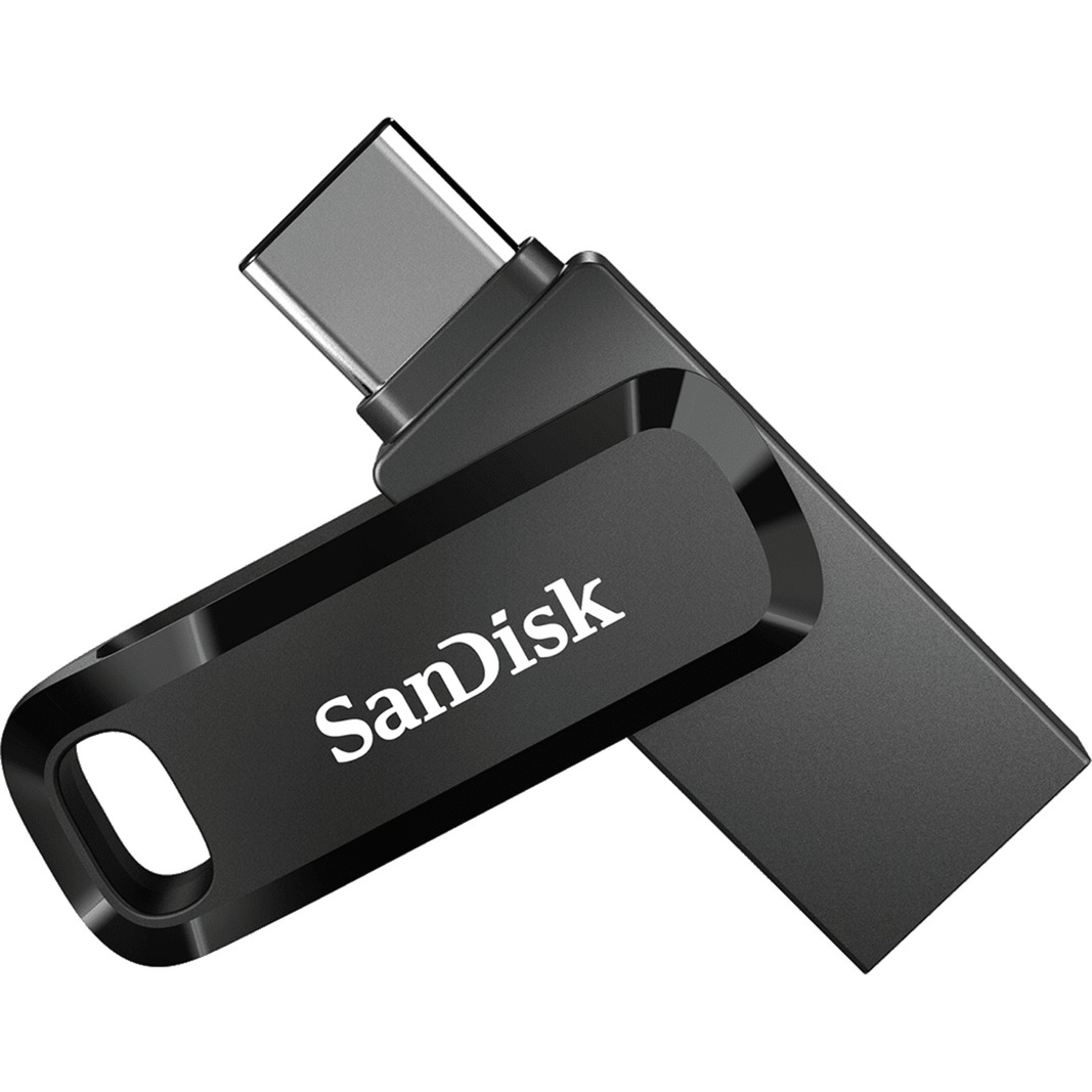 Ultra Dual Drive Go unità flash USB 256 GB USB